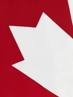 Dsquared2 short de bain à imprimé feuille d'érable